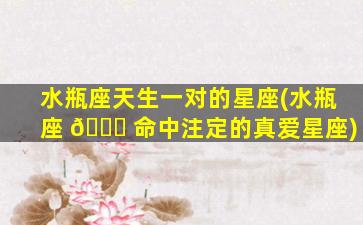 水瓶座天生一对的星座(水瓶座 🐎 命中注定的真爱星座)